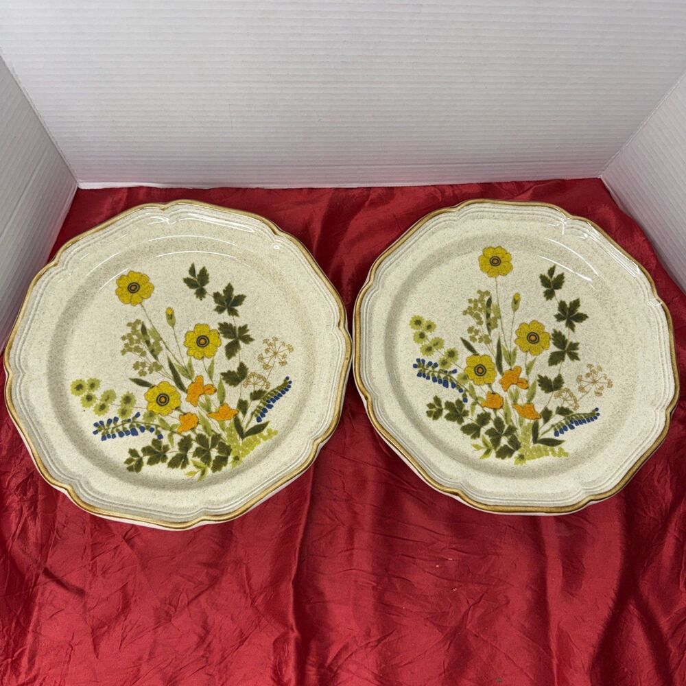 Mikasa 10.5” Dinner Plates Garden Club FRESH FLORAL Set of 2 Japan Vintage